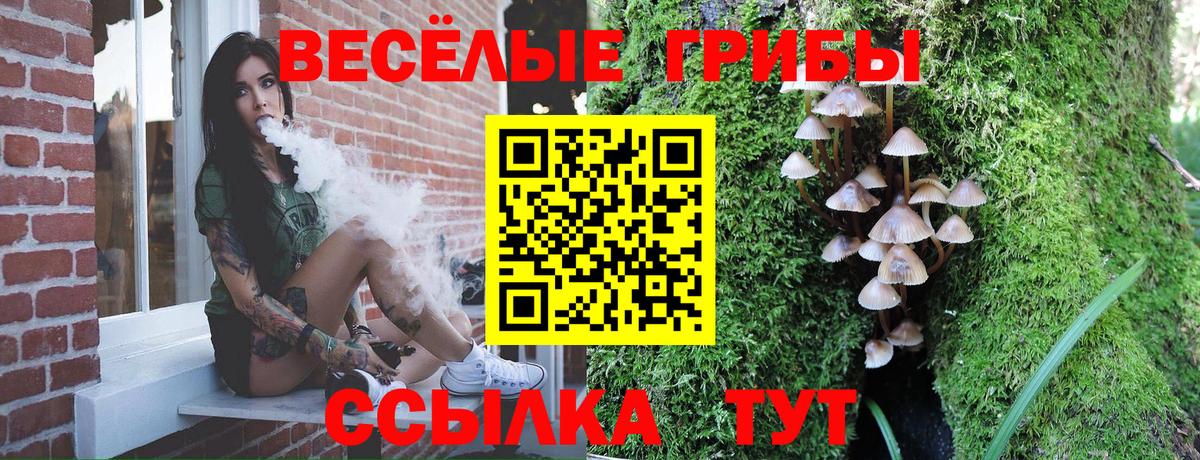 Галлюциногенные грибы Magic Shrooms  хочу   Черногорск  Вход с VPN 